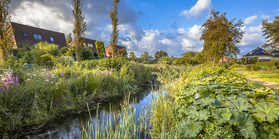 Bouwplannen Noordgouwe – Overleg gemeente